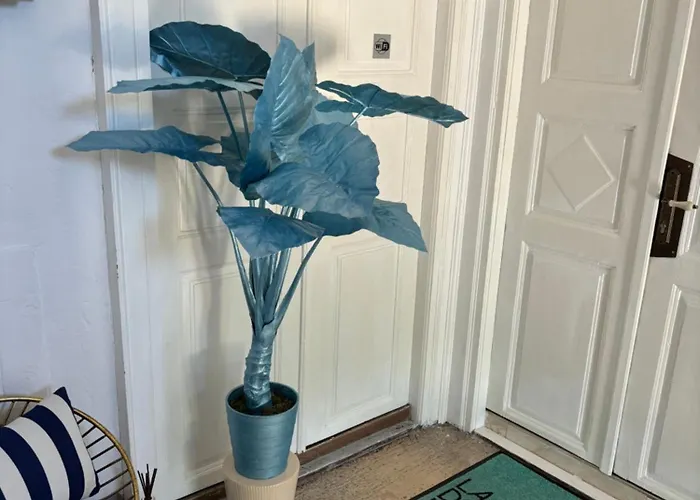 Appartamento La Dolce Vita Luxury Ii With Best Free Private Parking In Center Pola